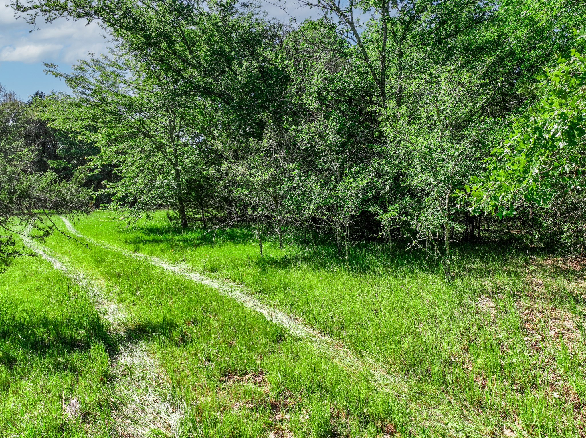Tbd County Road 4700 Sulphur Springs TX 75482