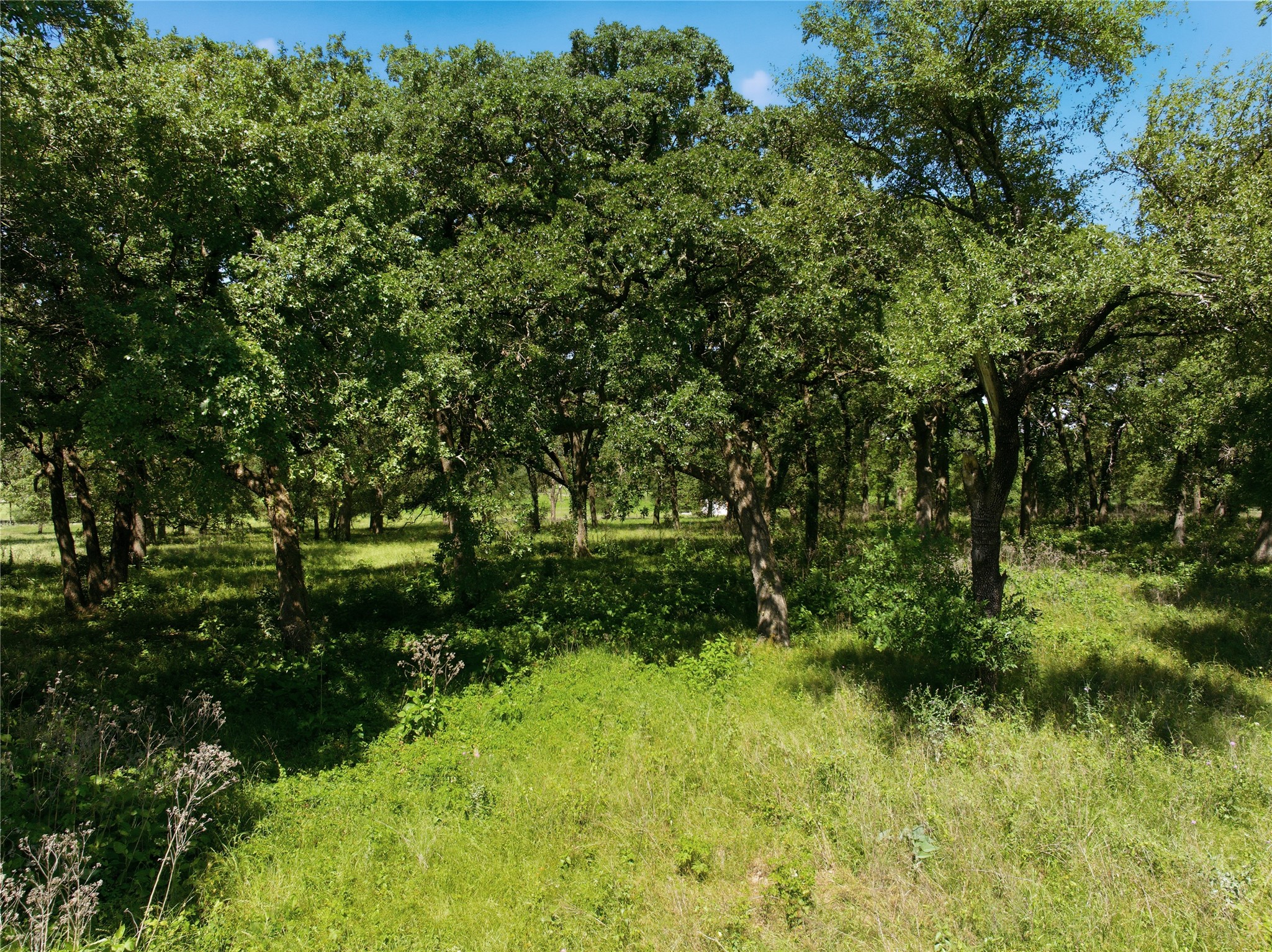 1187 Hcr 2200 Aquilla TX 76622