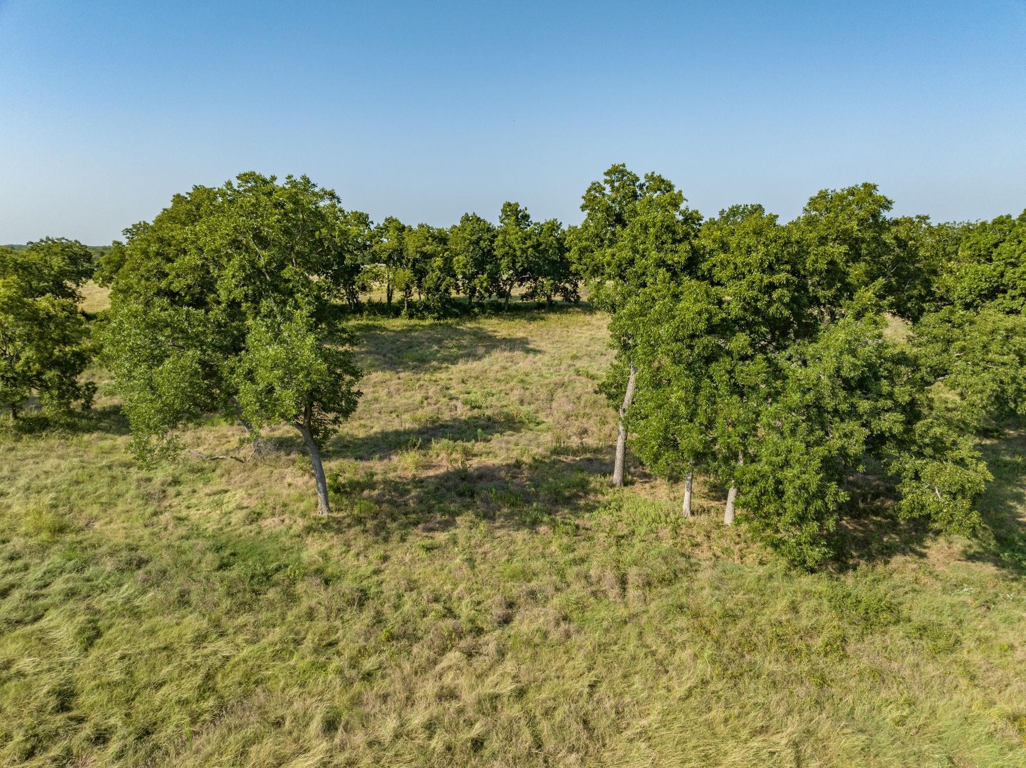 Tbd County Road 615 Farmersville TX 75442