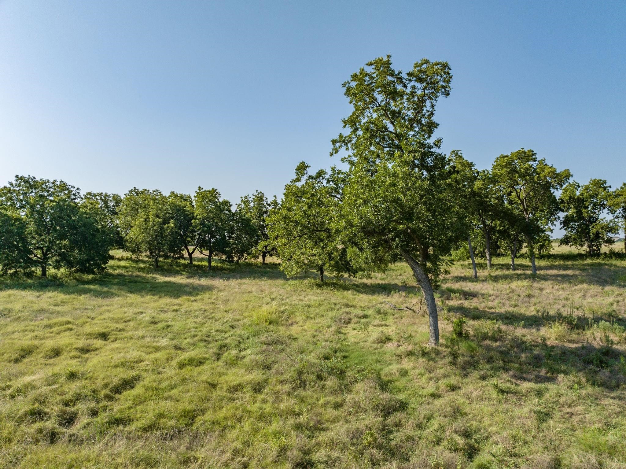 Tbd County Road 615 Farmersville TX 75442