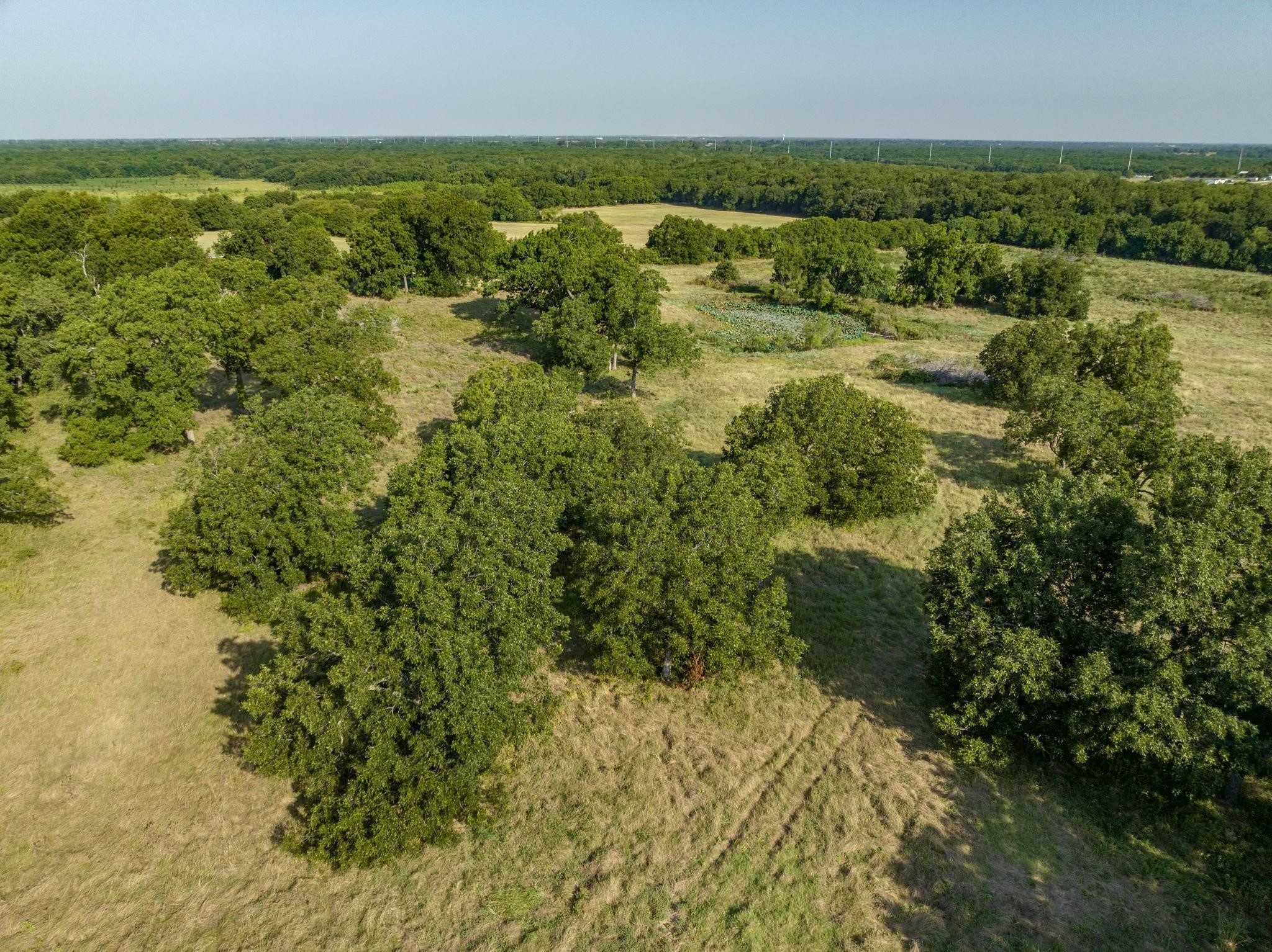 Tbd County Road 615 Farmersville TX 75442
