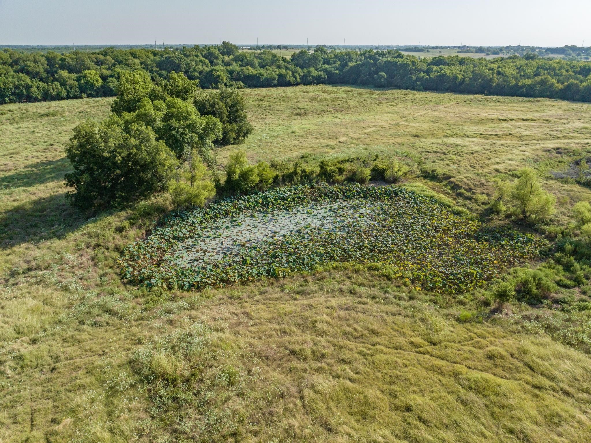 Tbd County Road 615 Farmersville TX 75442