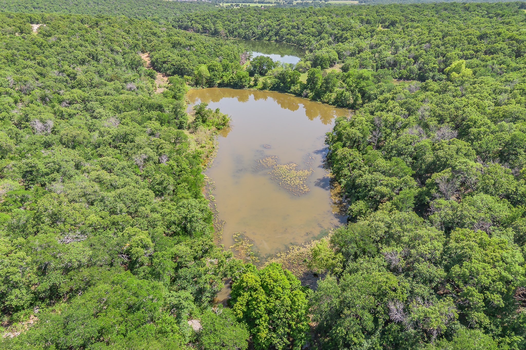 8955 Wolf Hollow Millsap TX 76066