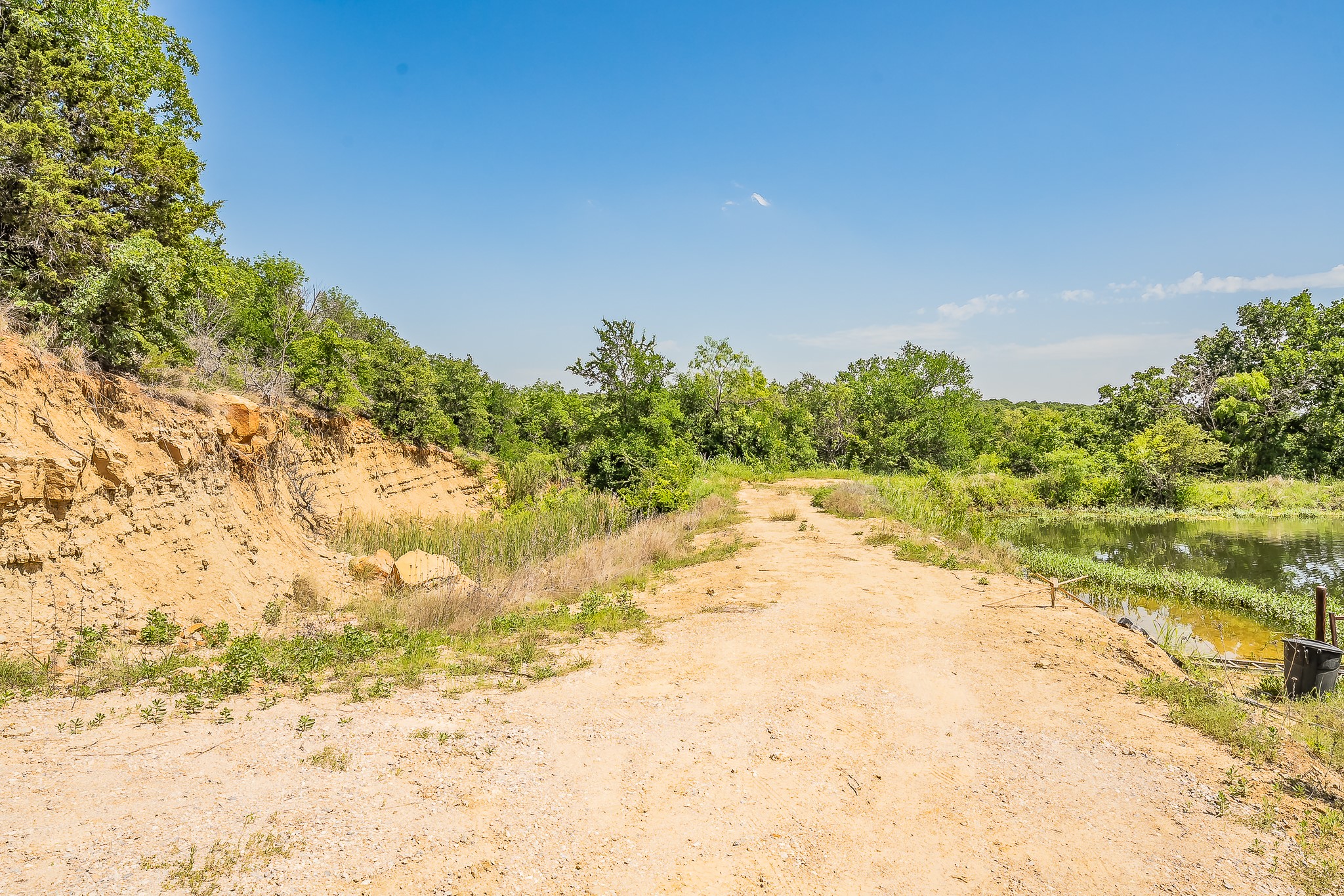 8955 Wolf Hollow Millsap TX 76066