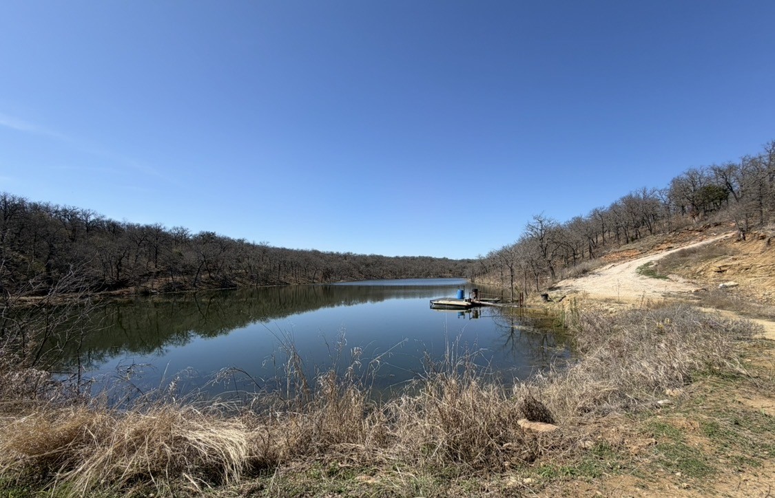 8955 Wolf Hollow Millsap TX 76066