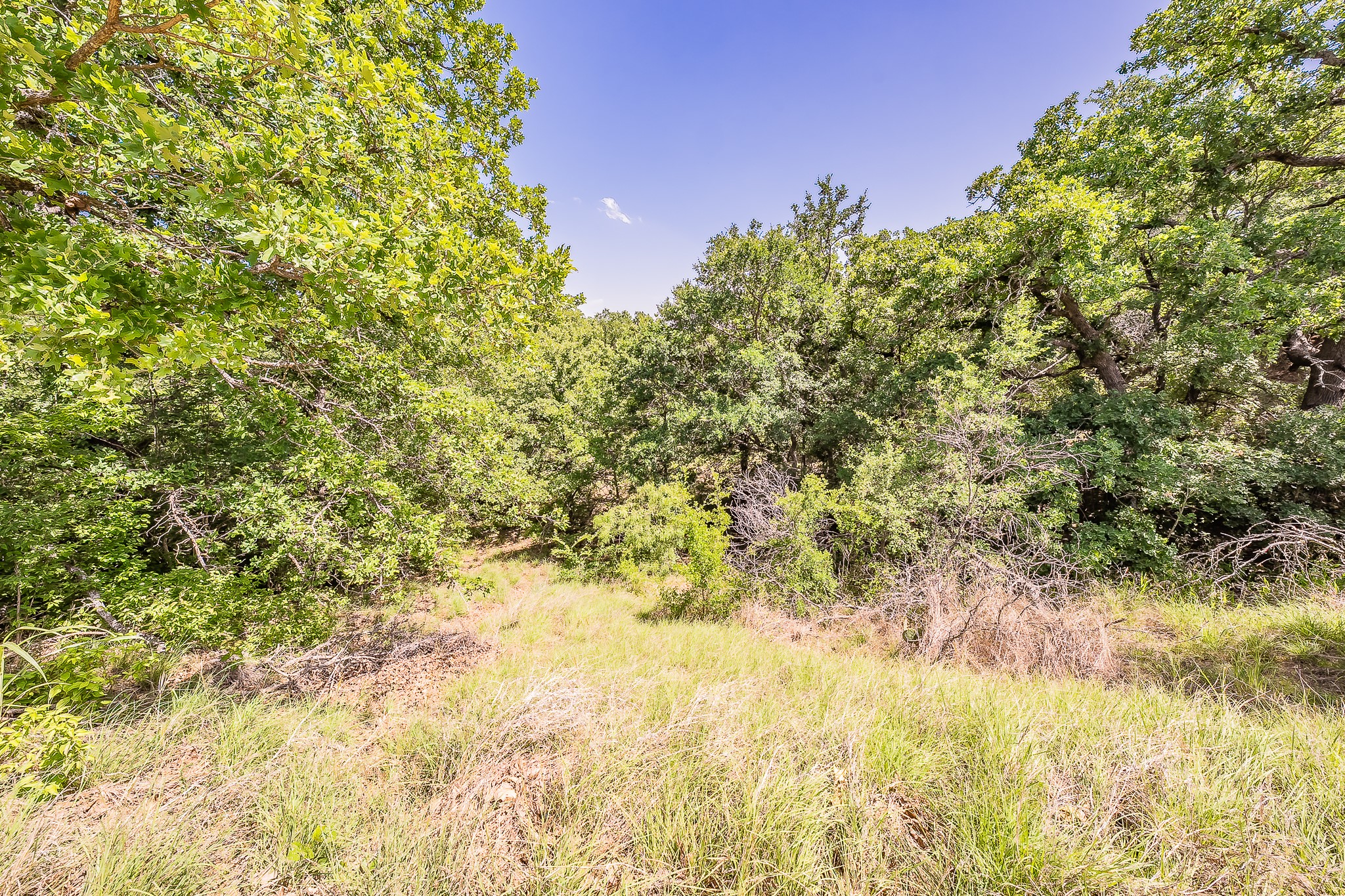 8955 Wolf Hollow Millsap TX 76066