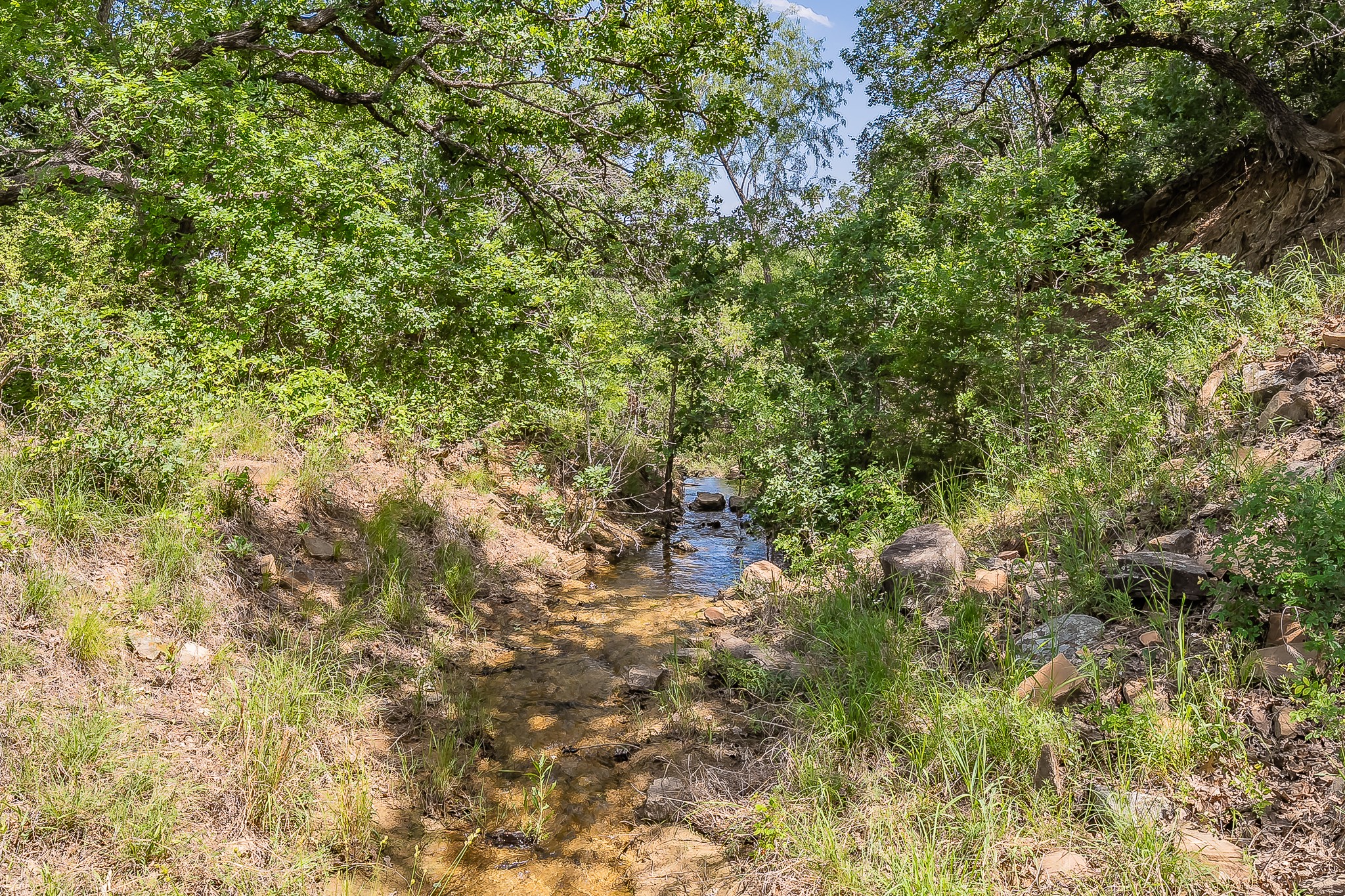 8955 Wolf Hollow Millsap TX 76066