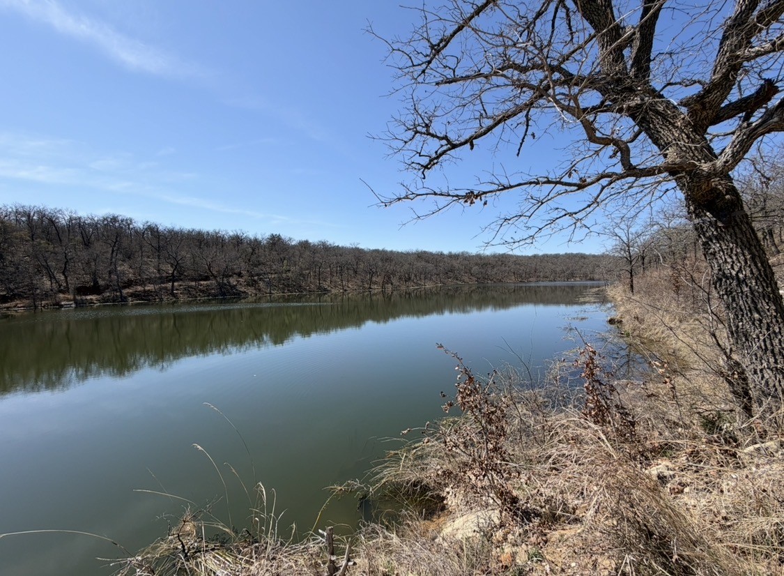 8955 Wolf Hollow Millsap TX 76066