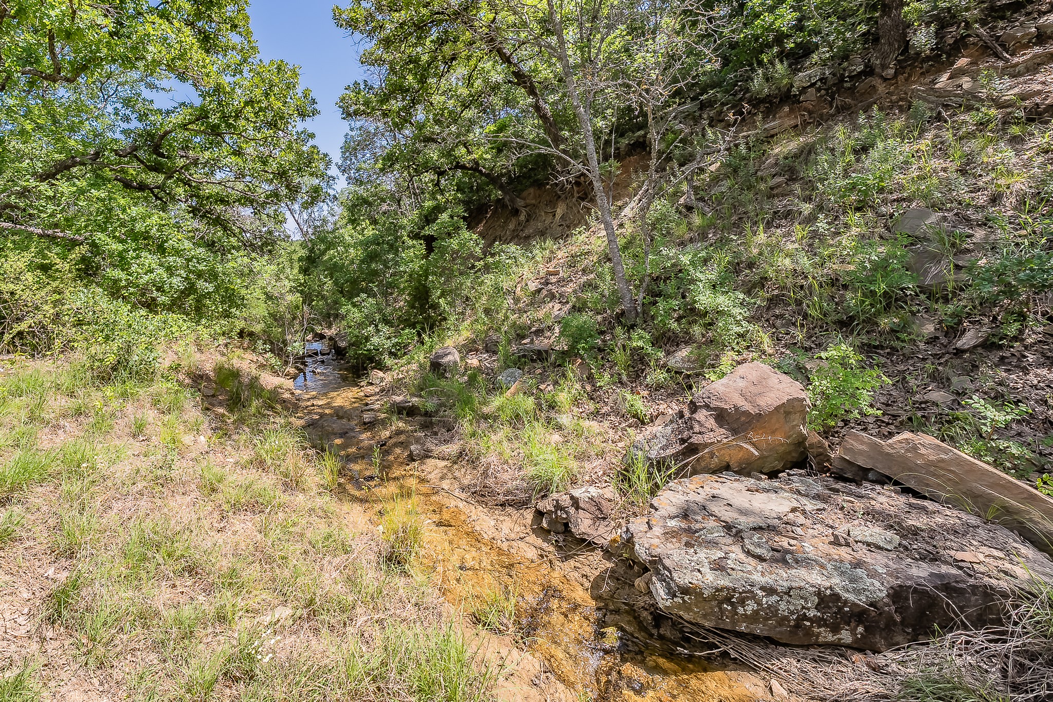 8955 Wolf Hollow Millsap TX 76066