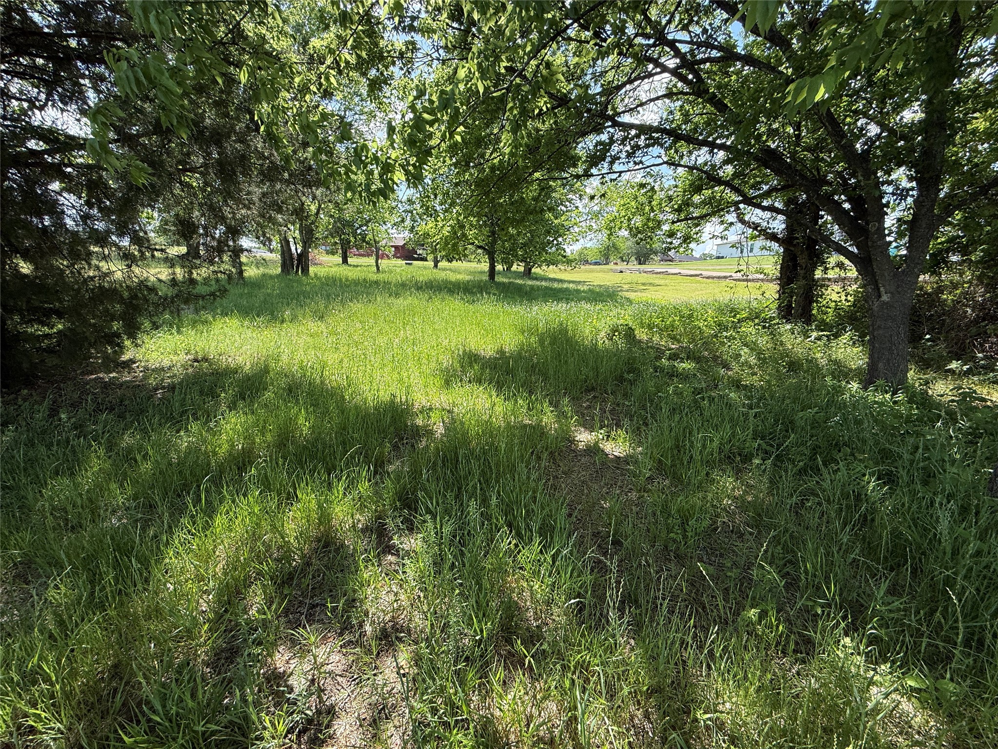 Lot 33 SE County Road 3122 Corsicana TX 75109