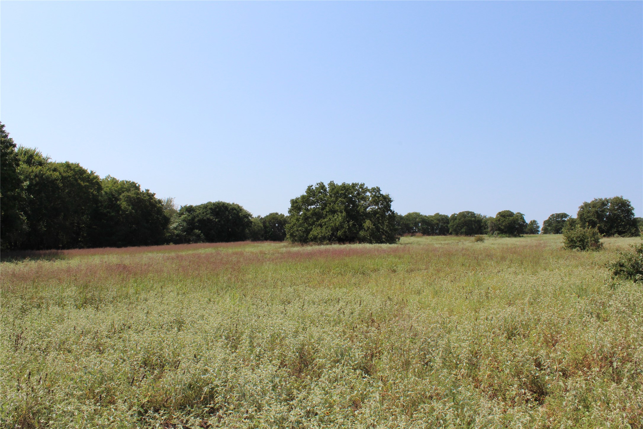 0000 Blackjack Parkway Montague TX 76251