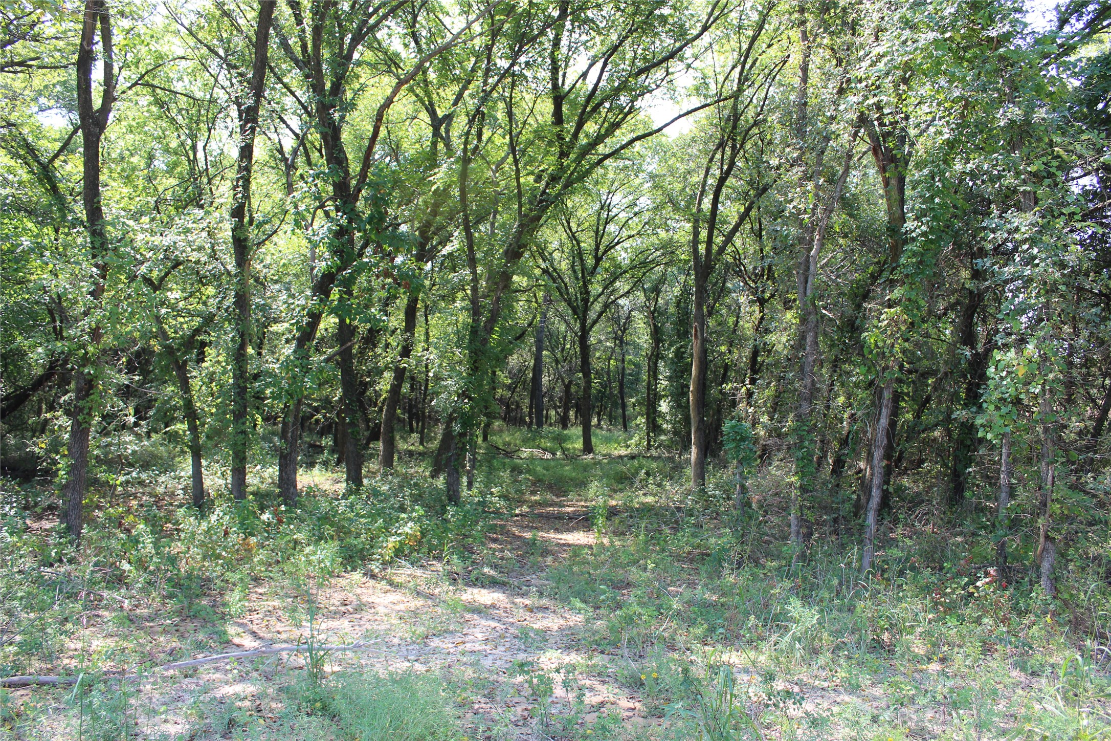 0000 Blackjack Parkway Montague TX 76251