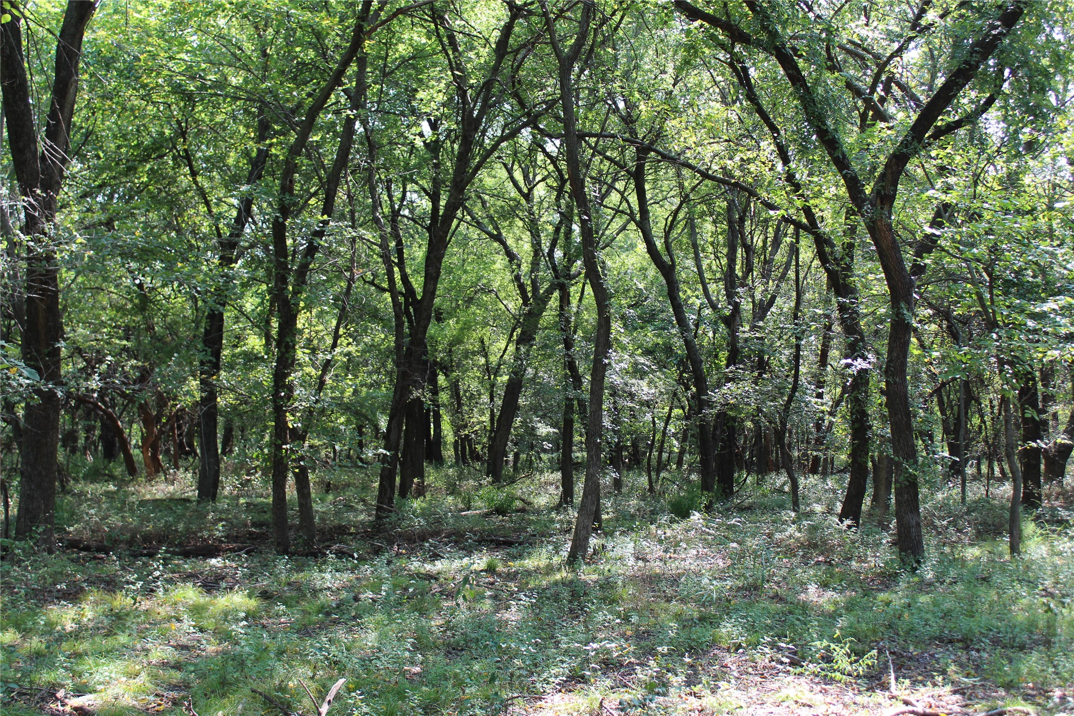 0000 Blackjack Parkway Montague TX 76251