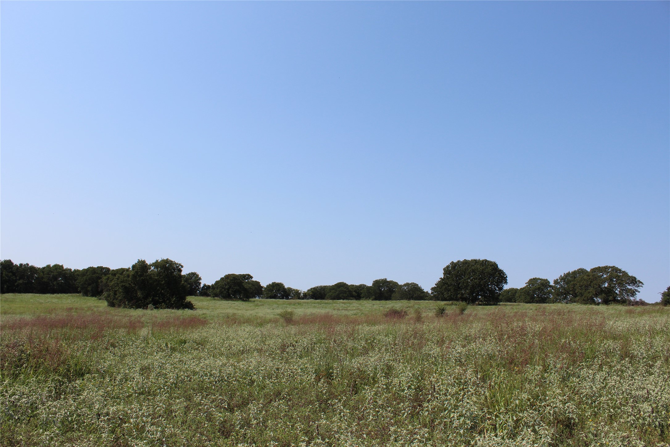 0000 Blackjack Parkway Montague TX 76251