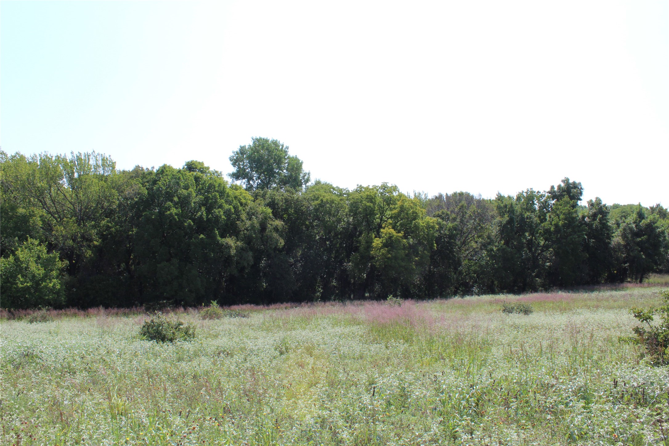 0000 Blackjack Parkway Montague TX 76251