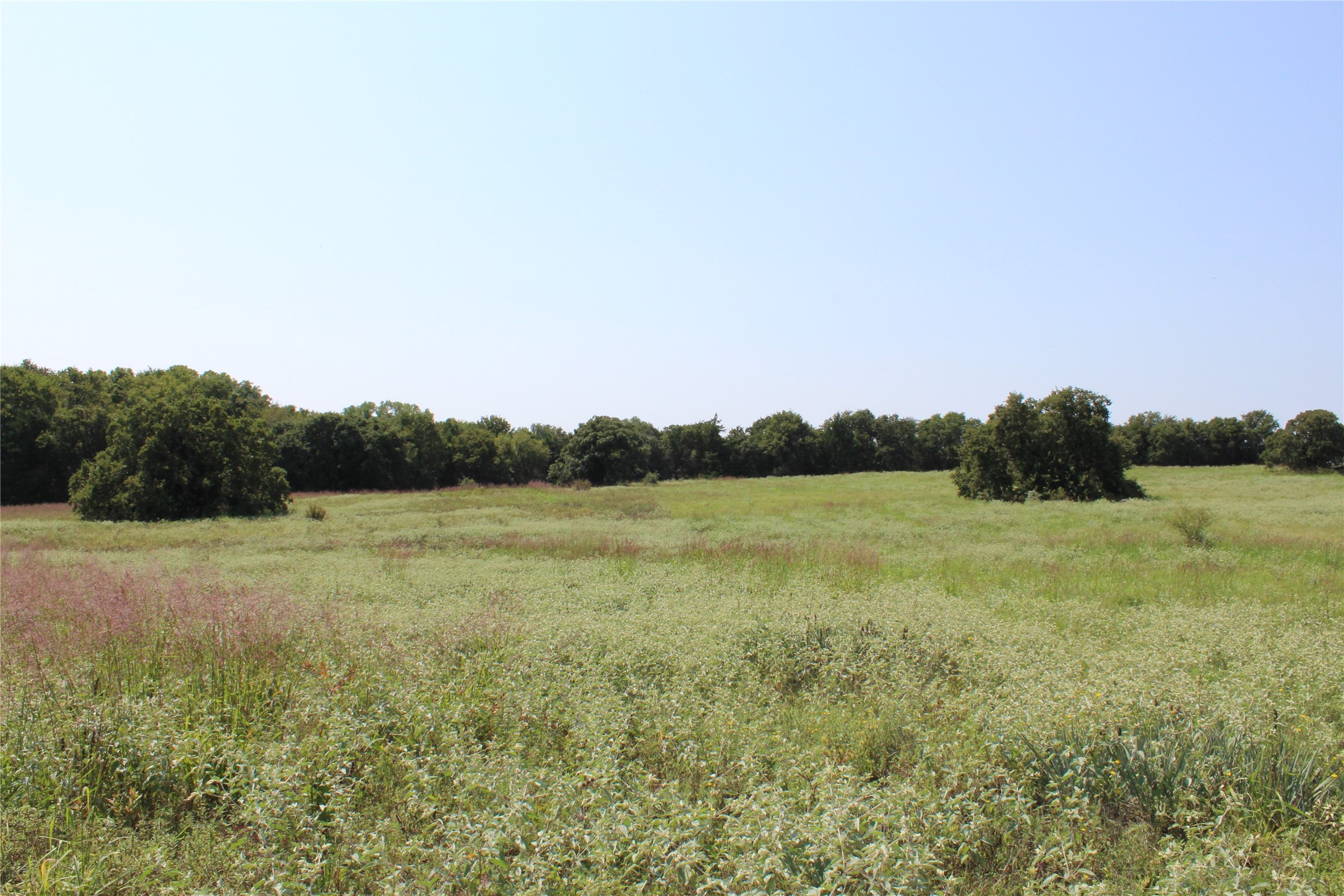 0000 Blackjack Parkway Montague TX 76251
