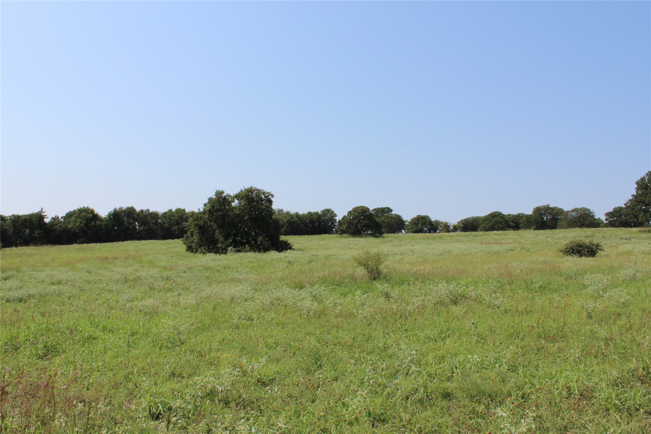 0000 Blackjack Parkway Montague TX 76251