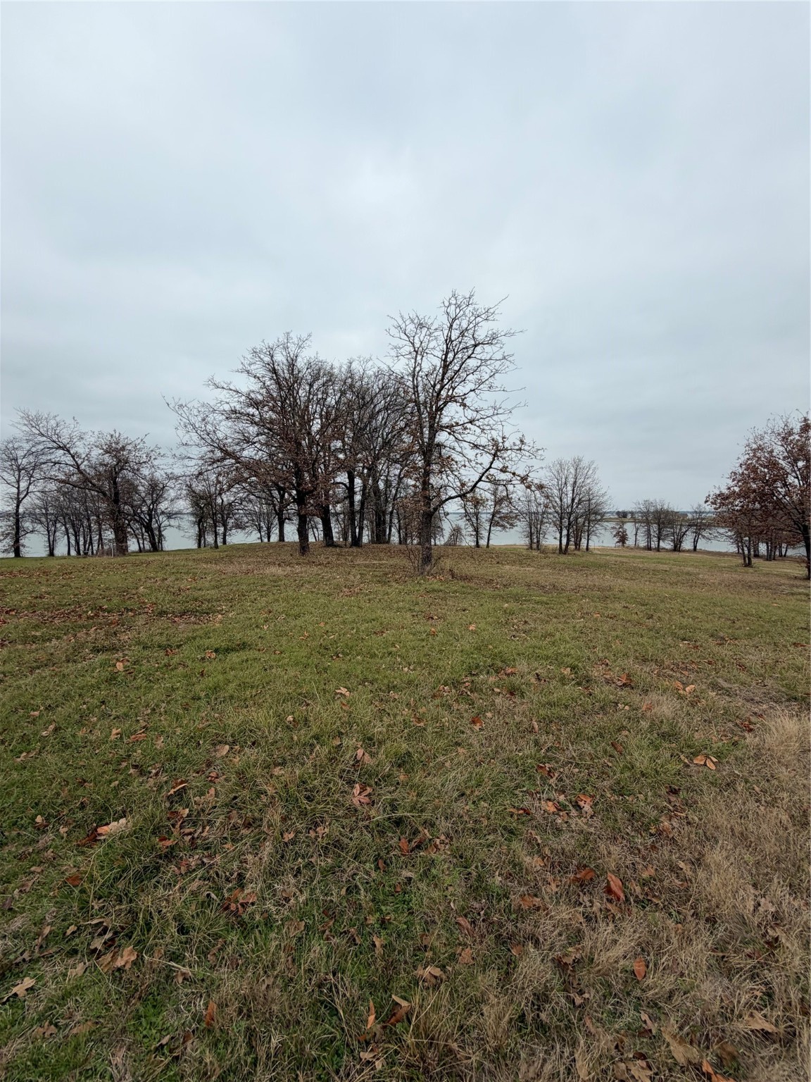 Tbd Lot 55 Streetman TX 75859