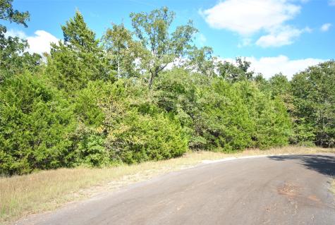 Lot 24 Lcr 910 Drive Jewett TX 75846