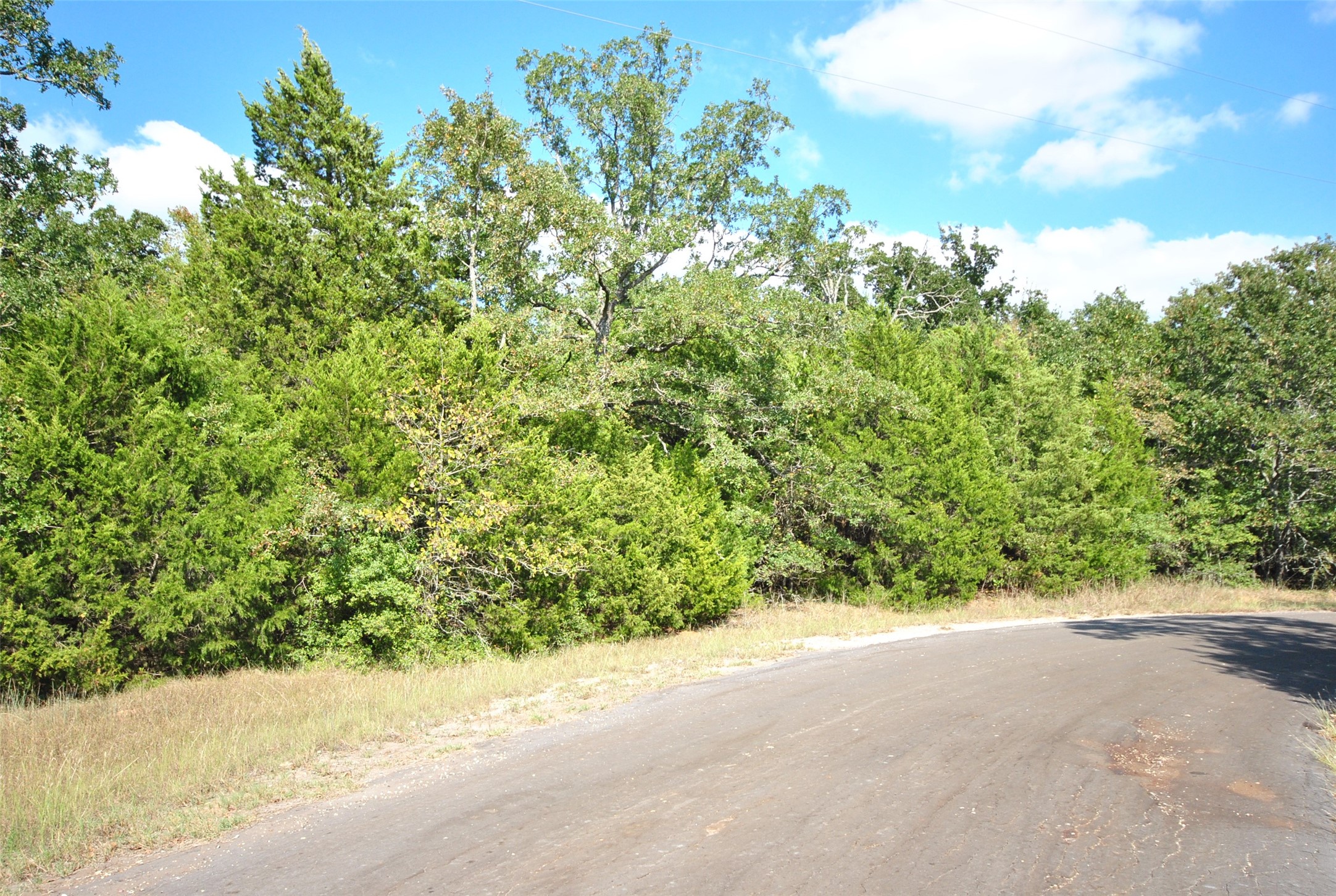 Lot 24 Lcr 910 Drive Jewett TX 75846