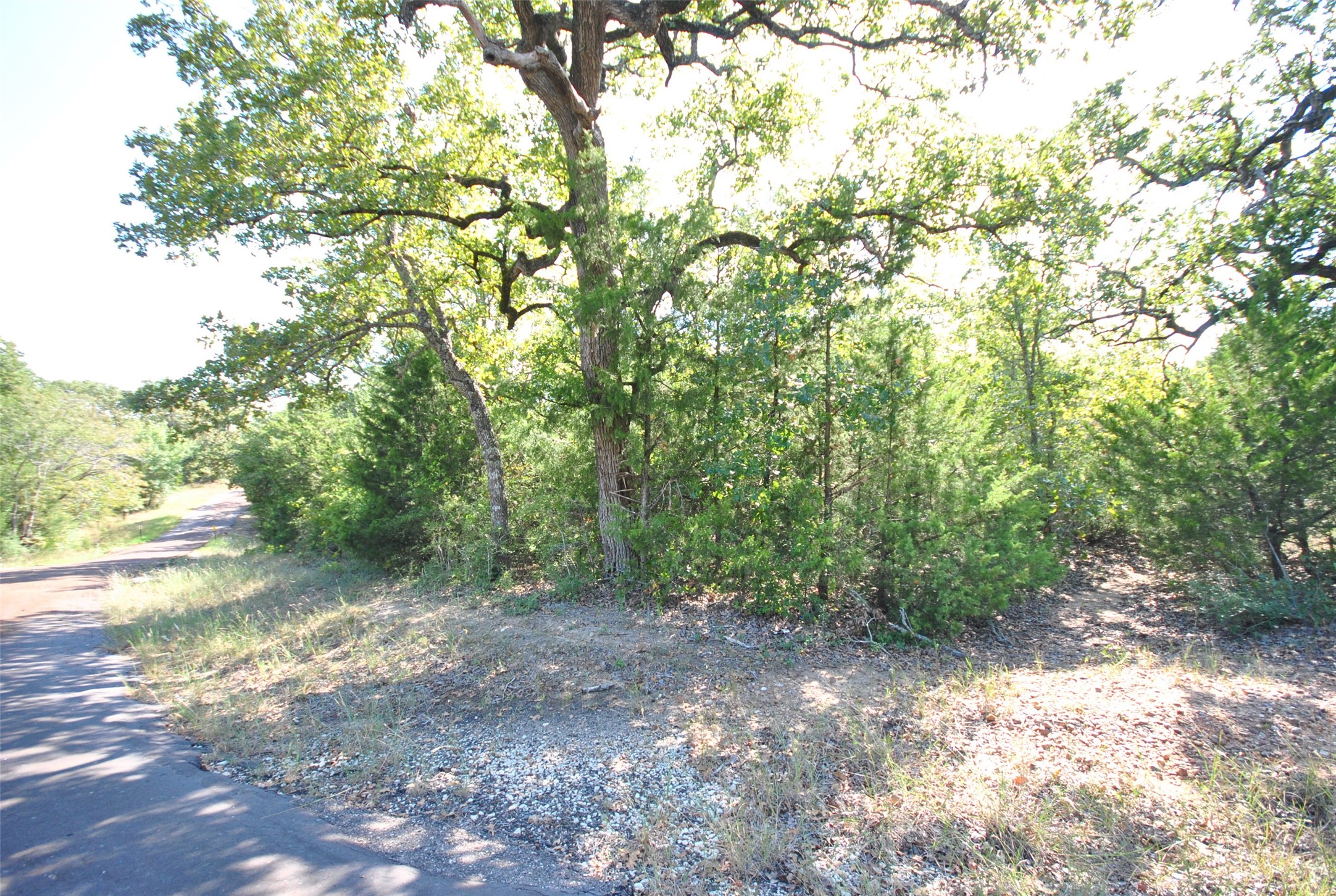 Lot 24 Lcr 910 Drive Jewett TX 75846
