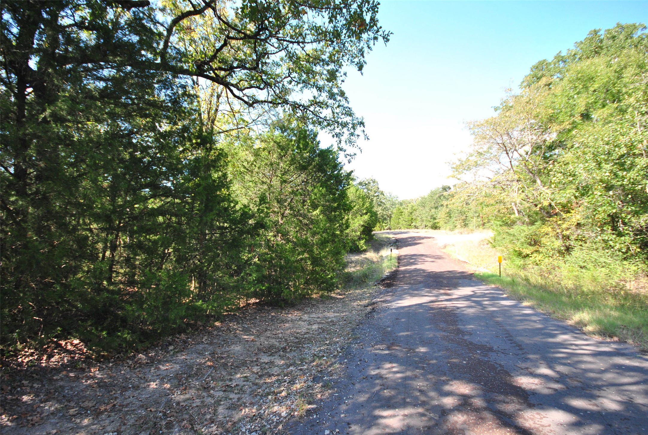 Lot 24 Lcr 910 Drive Jewett TX 75846