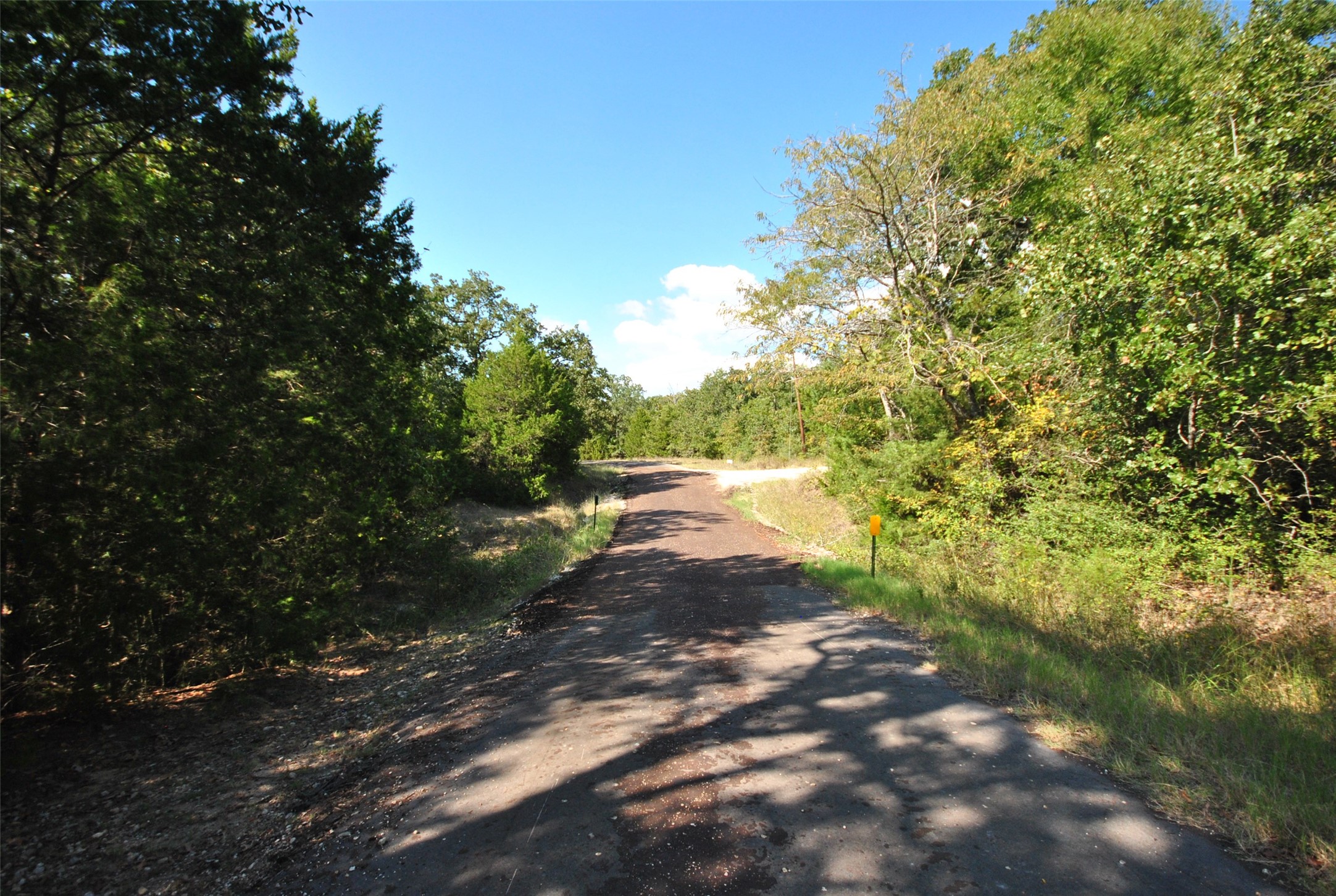 Lot 24 Lcr 910 Drive Jewett TX 75846