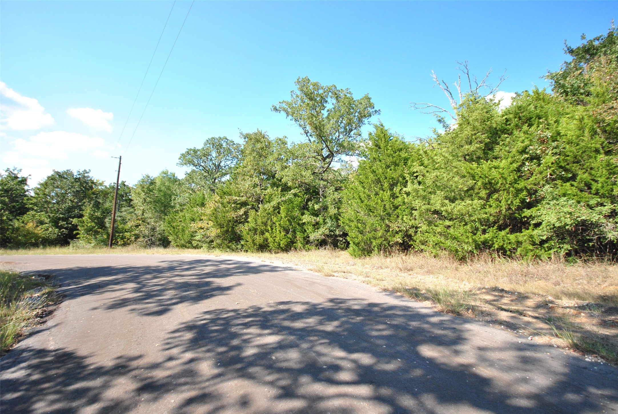 Lot 24 Lcr 910 Drive Jewett TX 75846