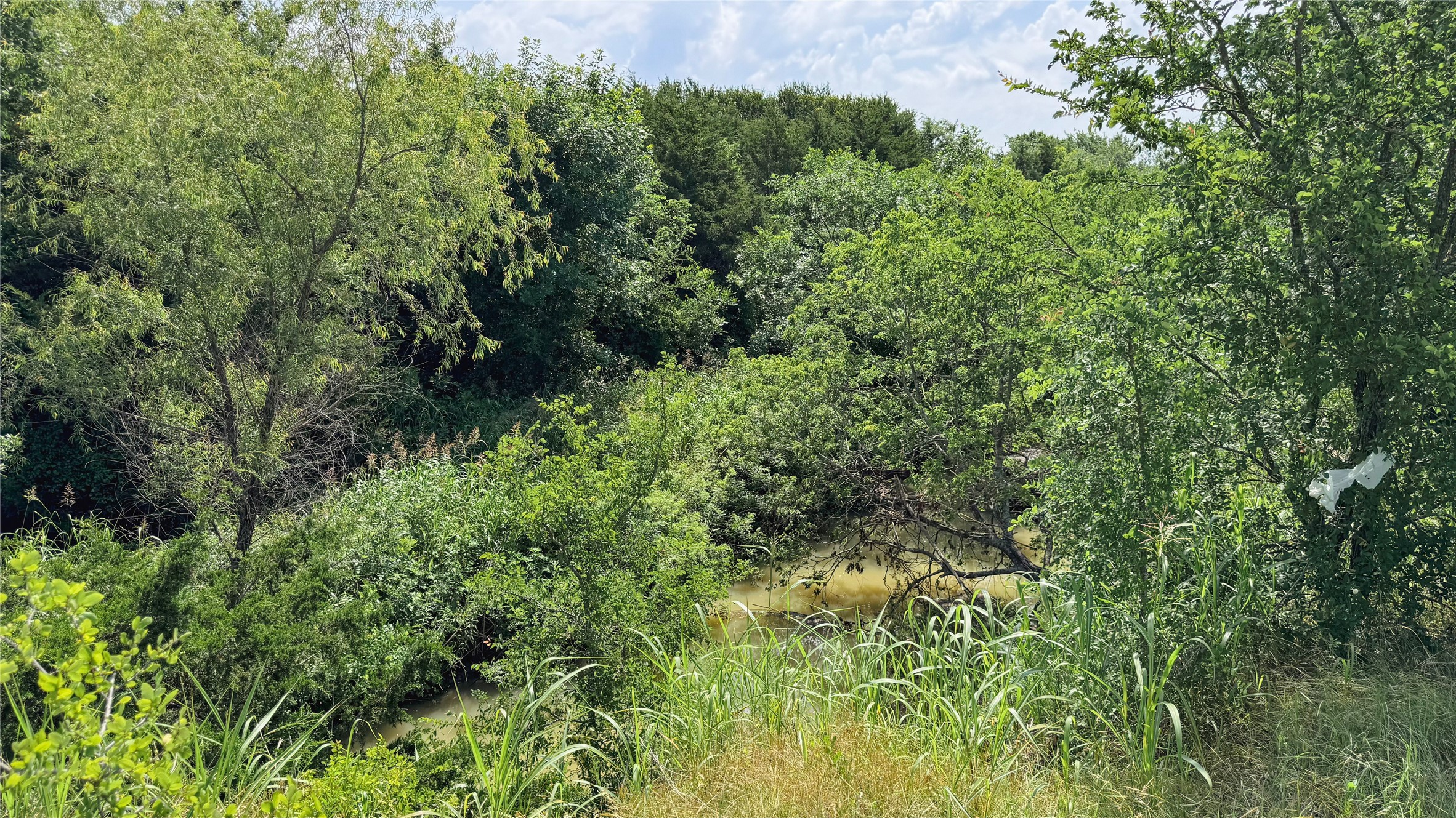 Tbd County Road 632 Blue Ridge TX 75424