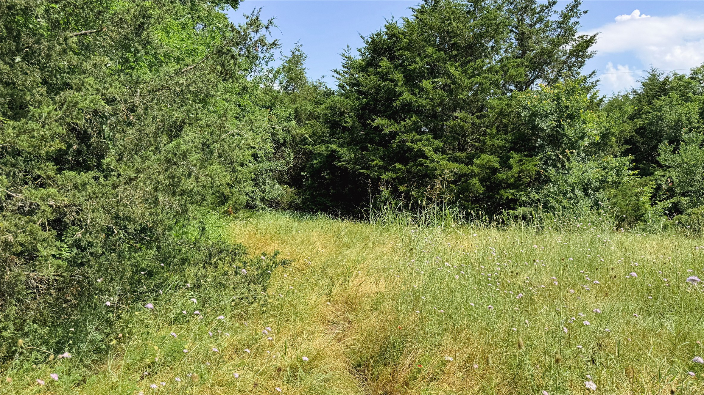 Tbd County Road 632 Blue Ridge TX 75424