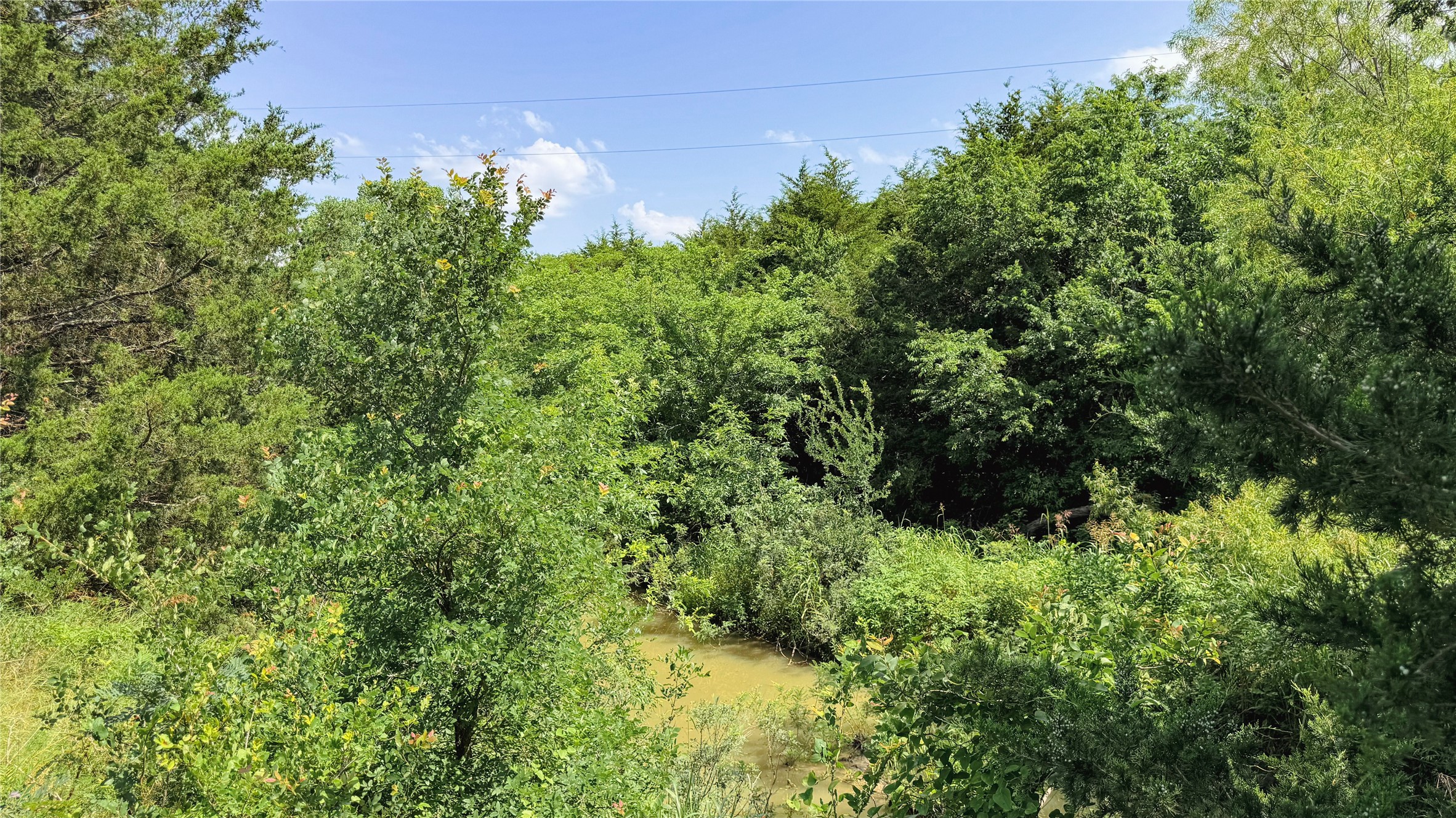 Tbd County Road 632 Blue Ridge TX 75424