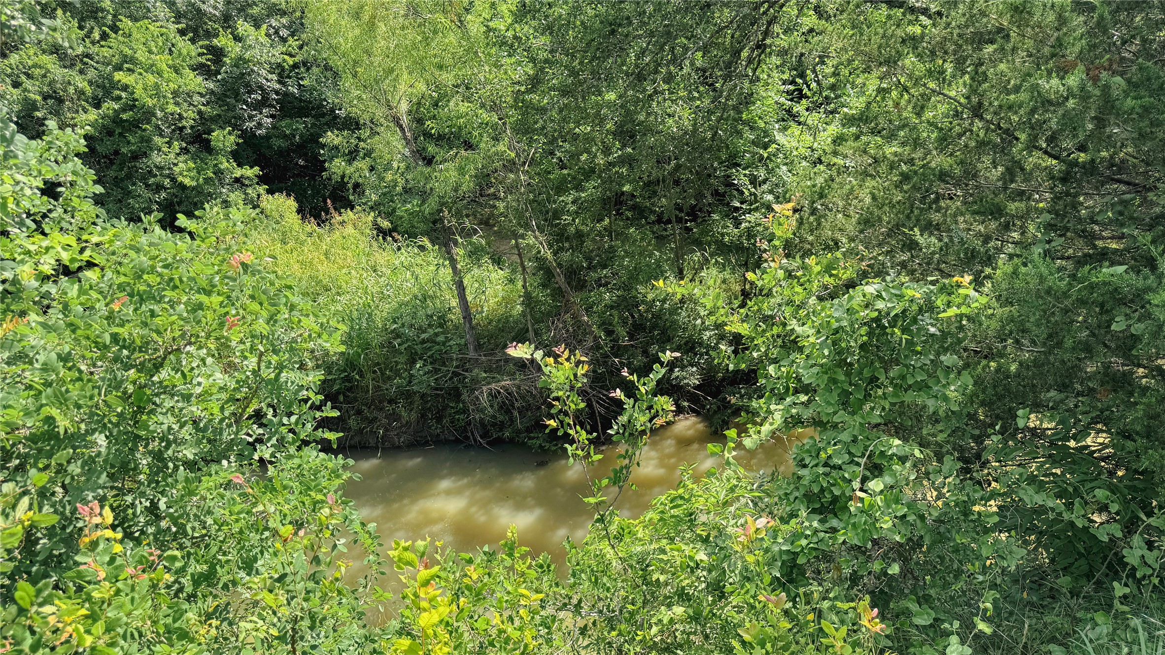Tbd County Road 632 Blue Ridge TX 75424
