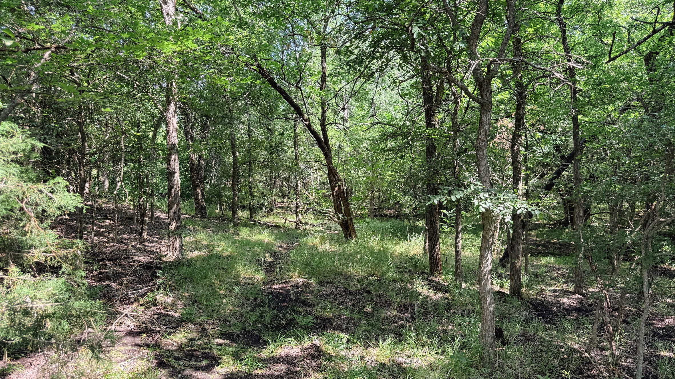Tbd County Road 632 Blue Ridge TX 75424