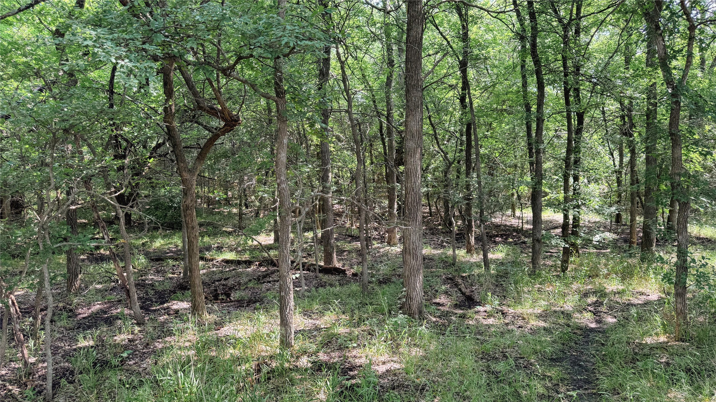 Tbd County Road 632 Blue Ridge TX 75424