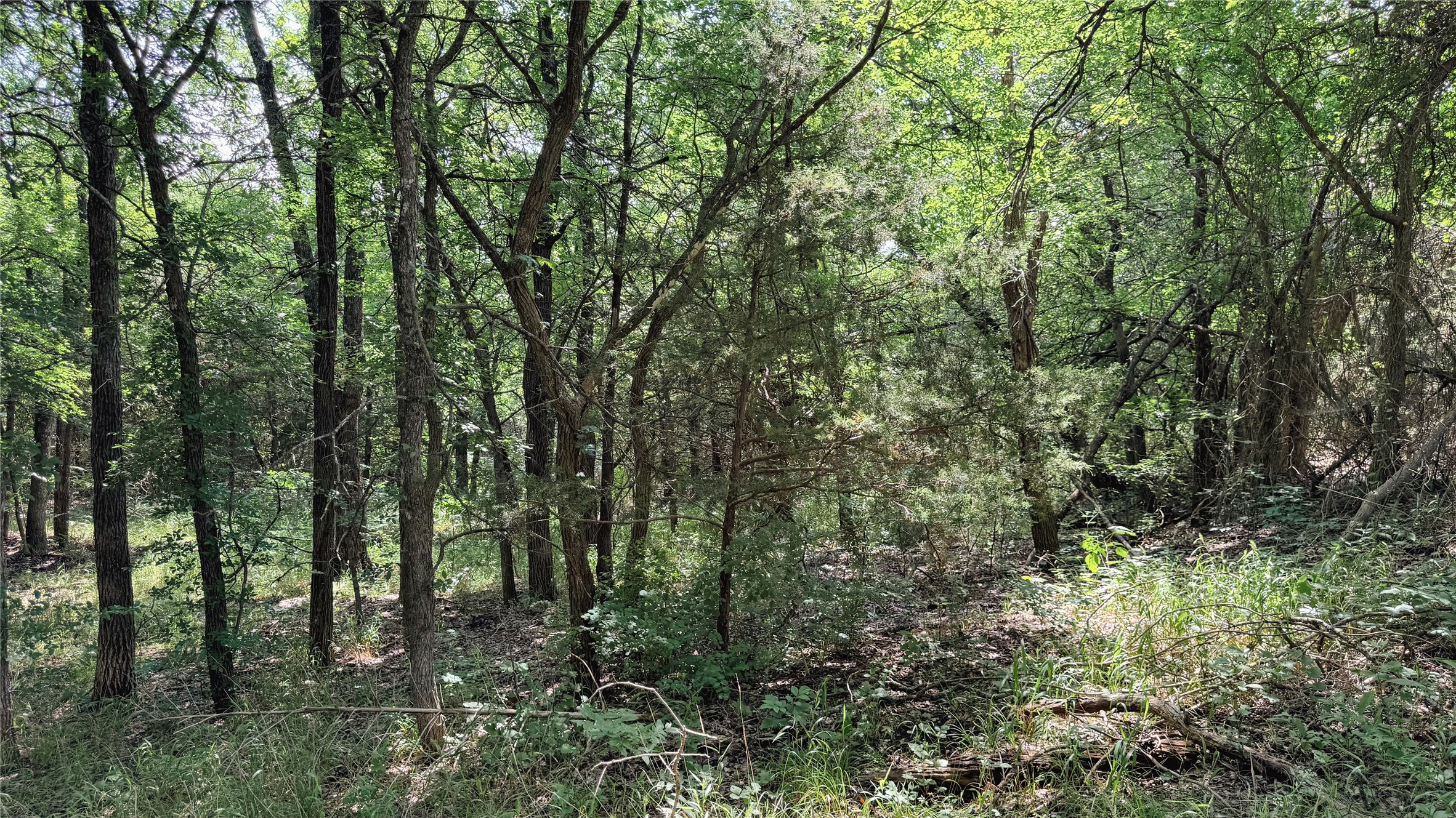 Tbd County Road 632 Blue Ridge TX 75424