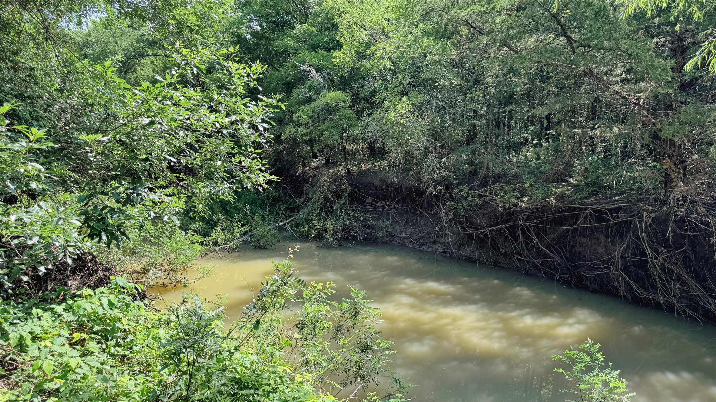 Tbd County Road 632 Blue Ridge TX 75424