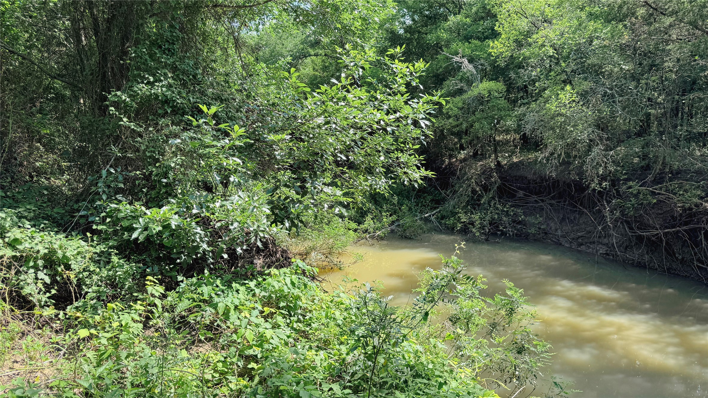 Tbd County Road 632 Blue Ridge TX 75424