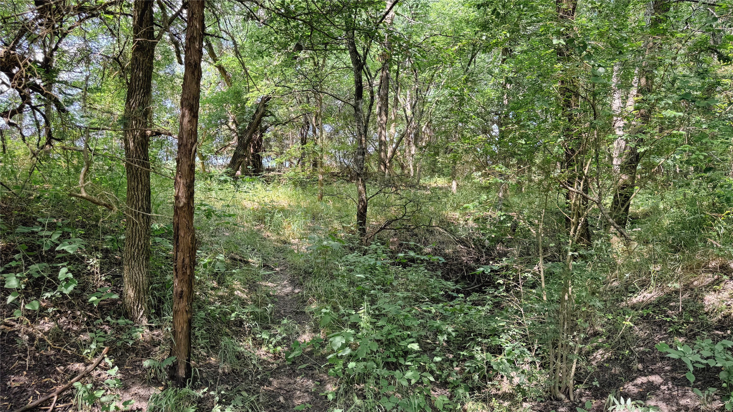 Tbd County Road 632 Blue Ridge TX 75424