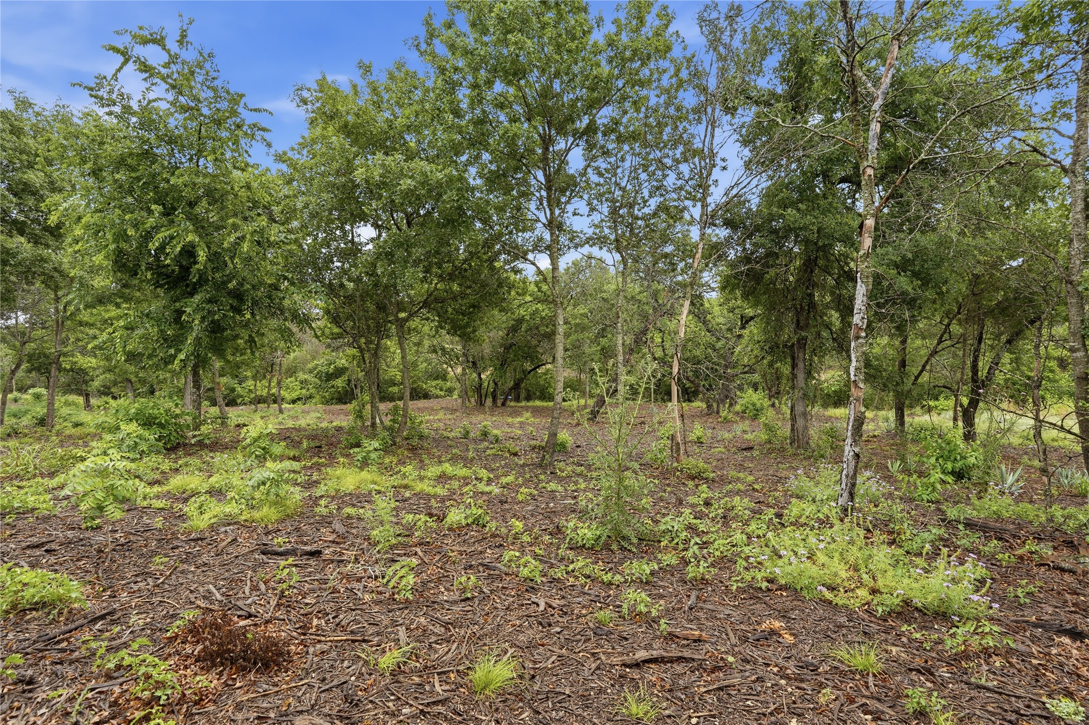 Tbd Northview Road Aledo TX 76008