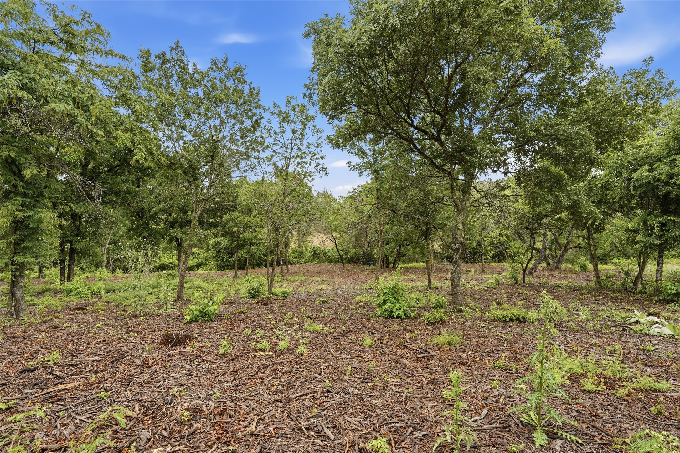 Tbd Northview Road Aledo TX 76008