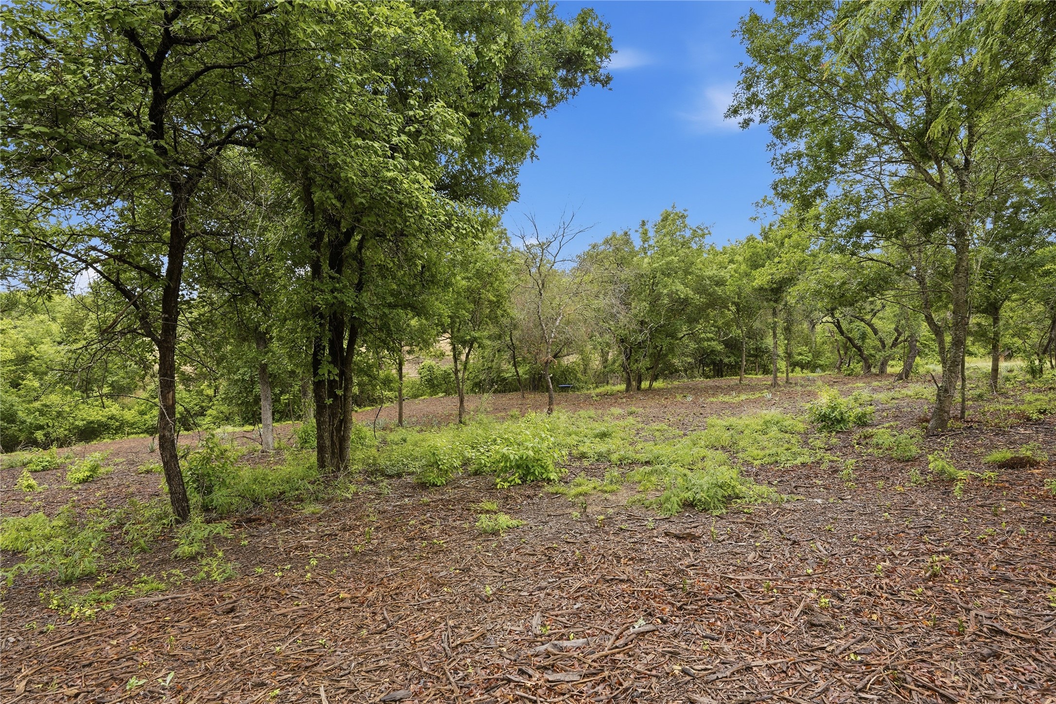 Tbd Northview Road Aledo TX 76008