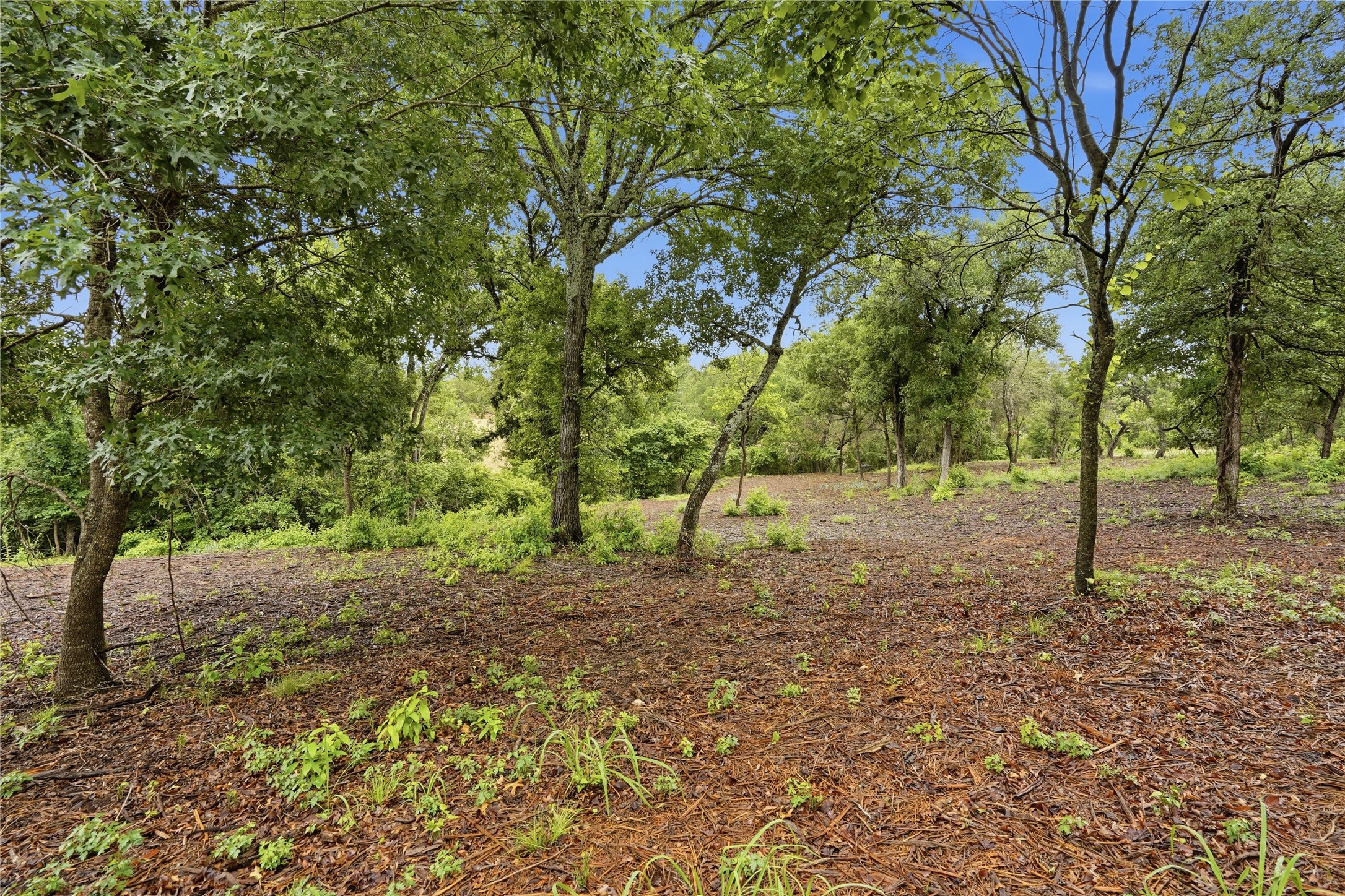 Tbd Northview Road Aledo TX 76008