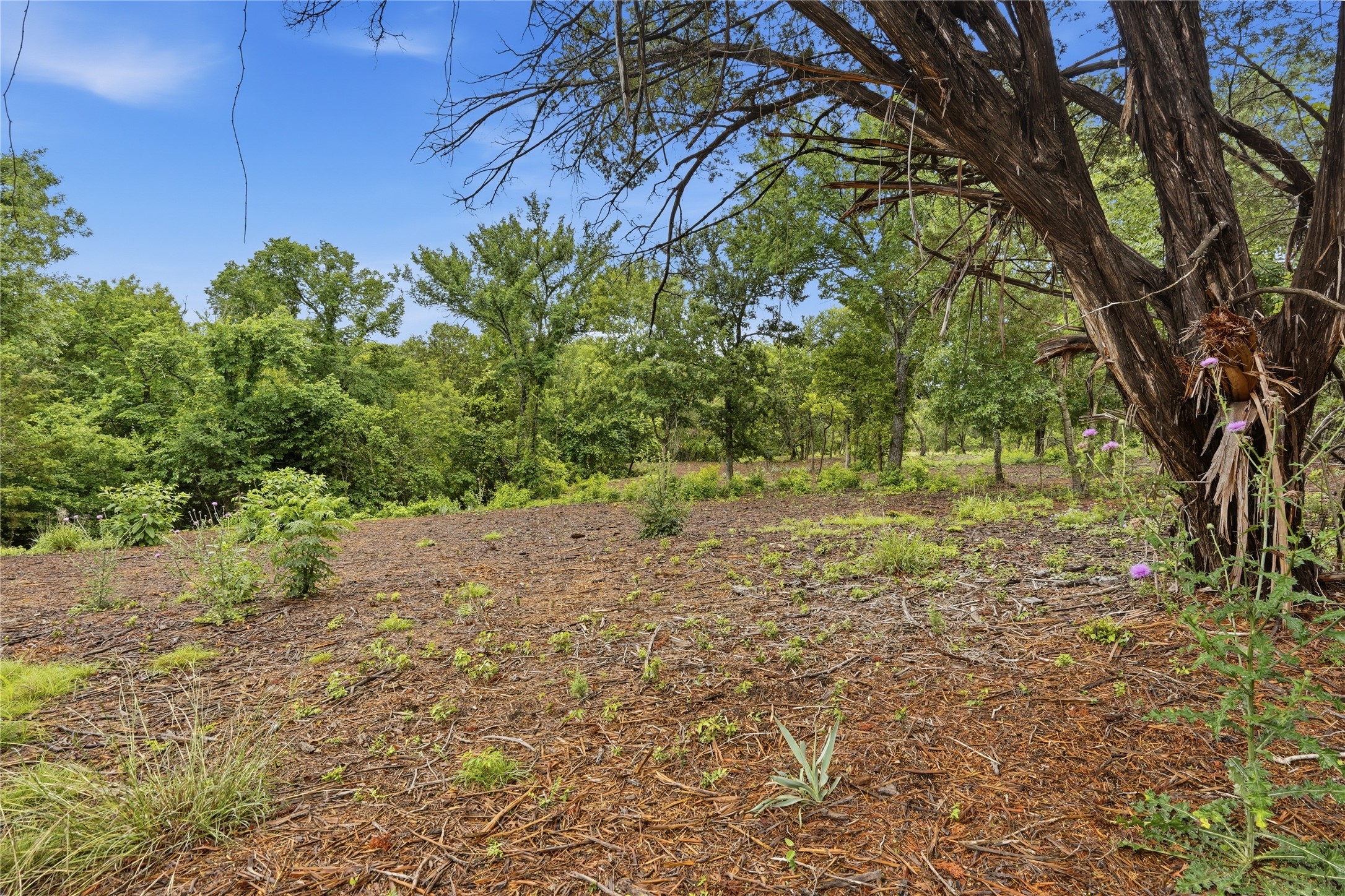 Tbd Northview Road Aledo TX 76008