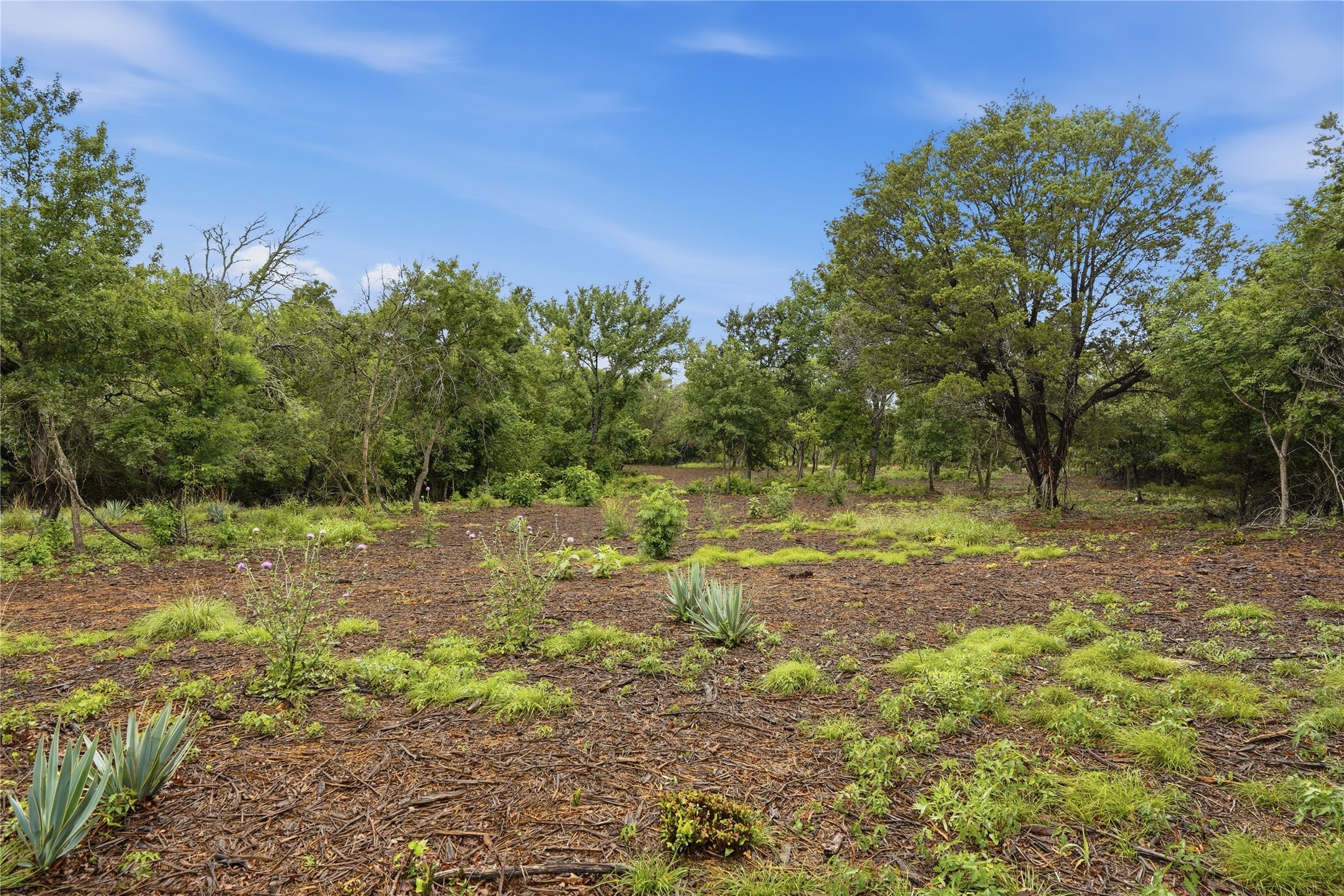 Tbd Northview Road Aledo TX 76008