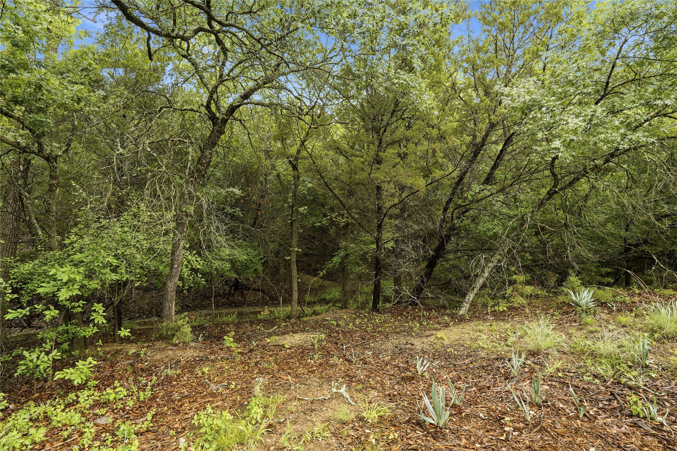 Tbd Northview Road Aledo TX 76008