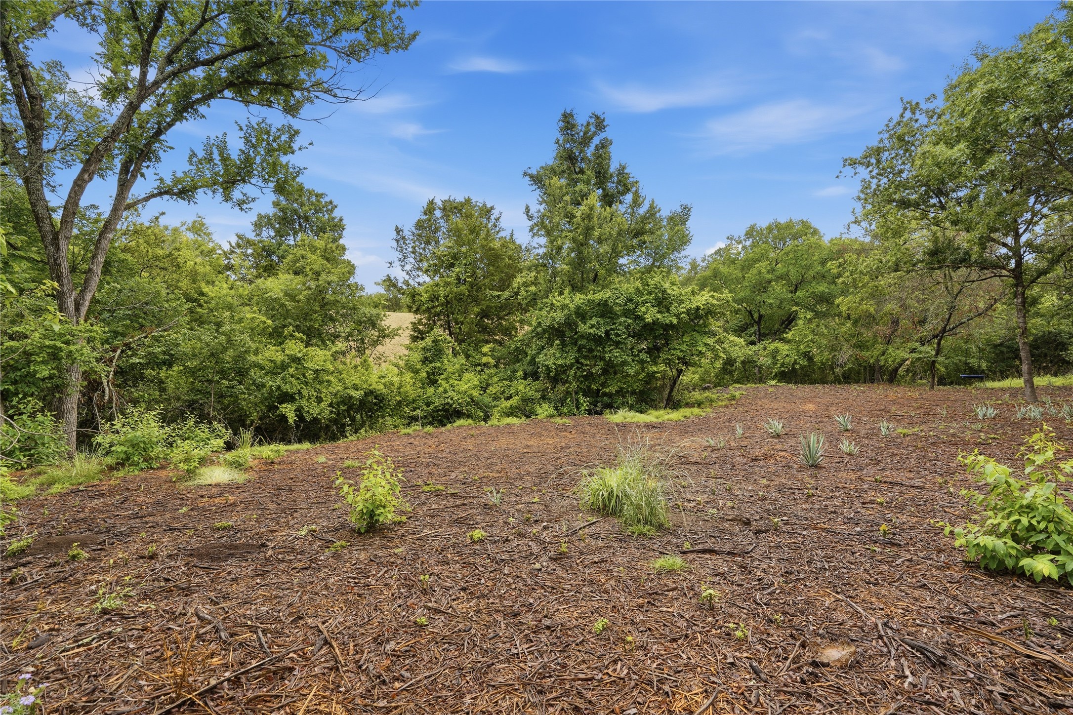 Tbd Northview Road Aledo TX 76008