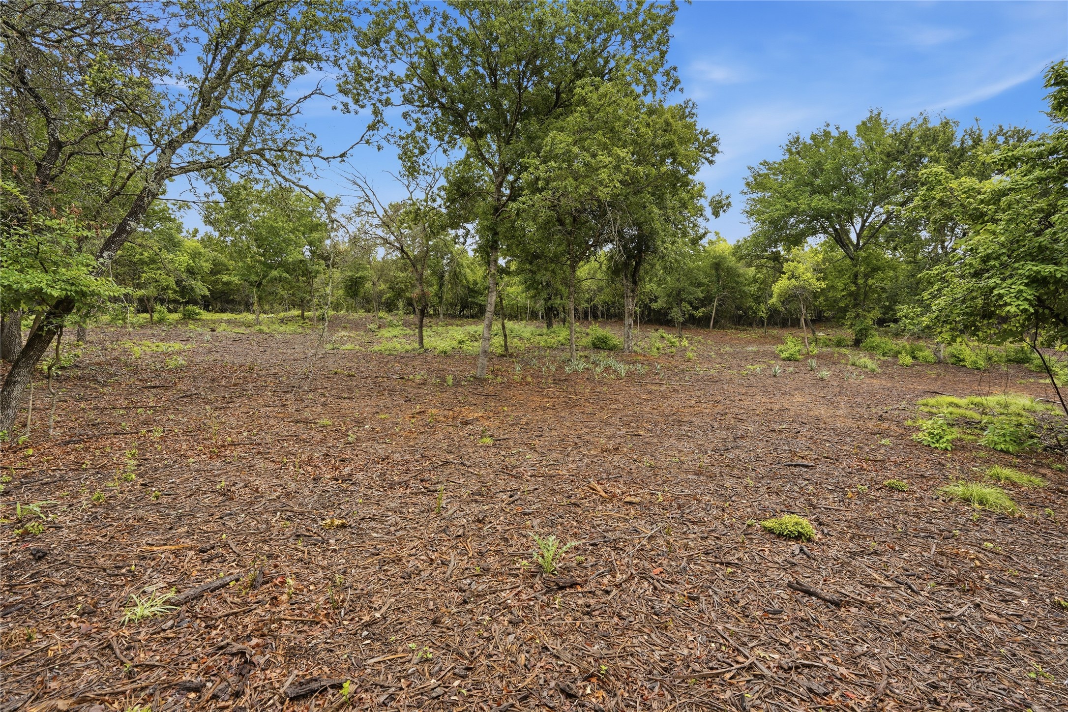Tbd Northview Road Aledo TX 76008