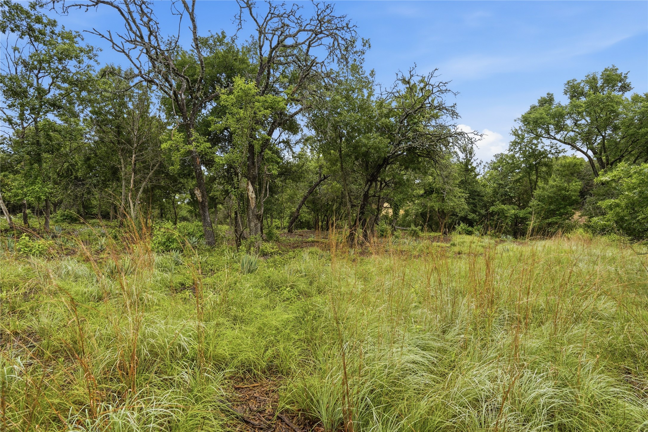 Tbd Northview Road Aledo TX 76008