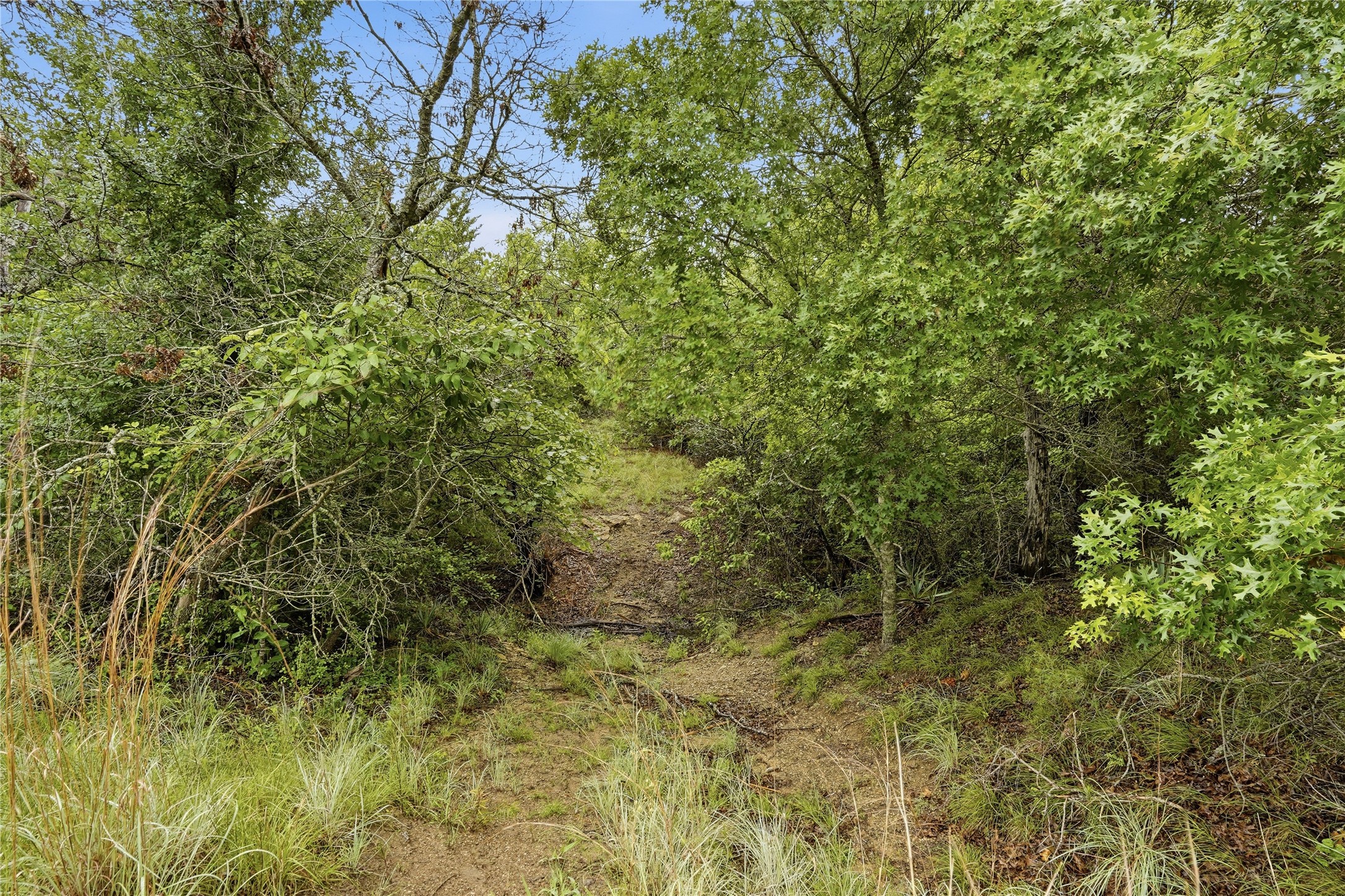 Tbd Northview Road Aledo TX 76008