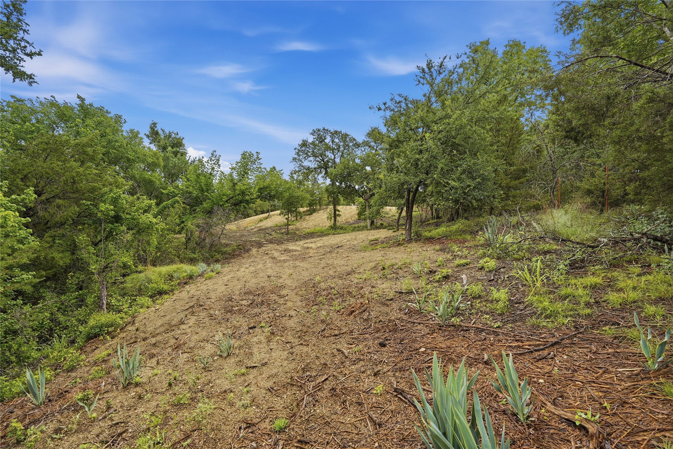 Tbd Northview Road Aledo TX 76008